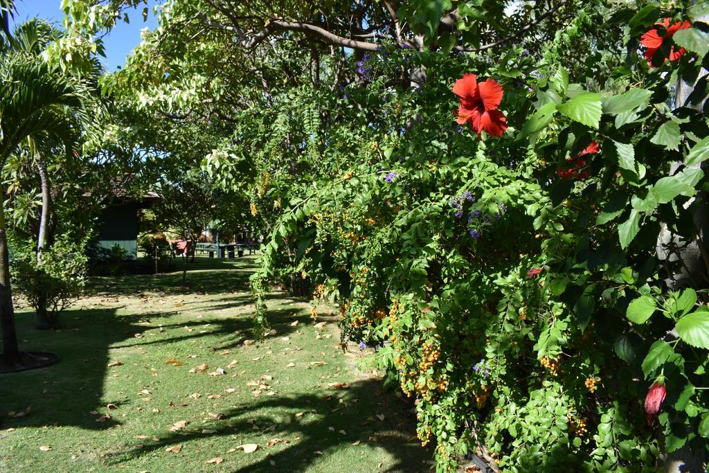 Nona Lani Cottages Kihei Exterior foto