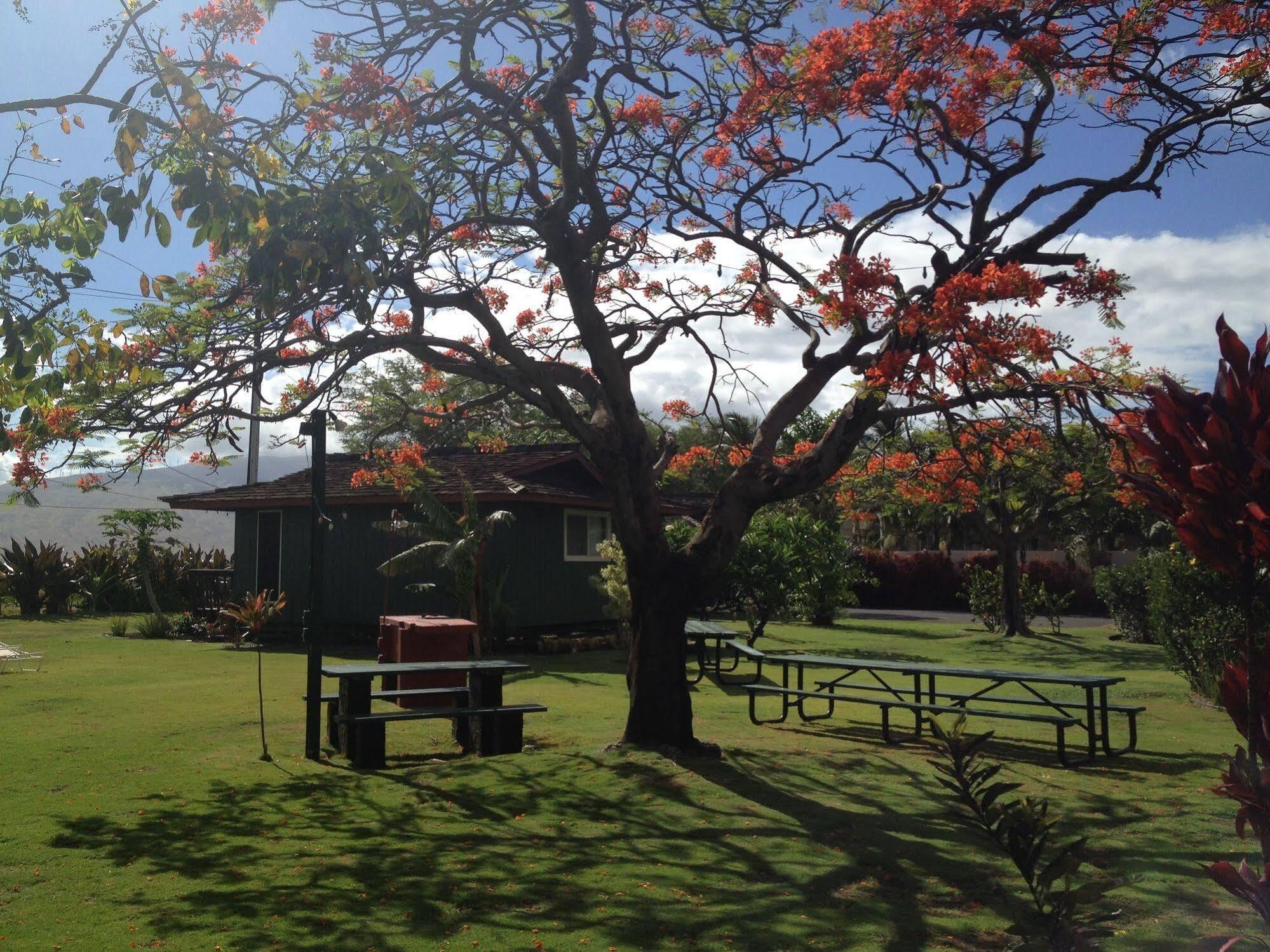 Nona Lani Cottages Kihei Exterior foto
